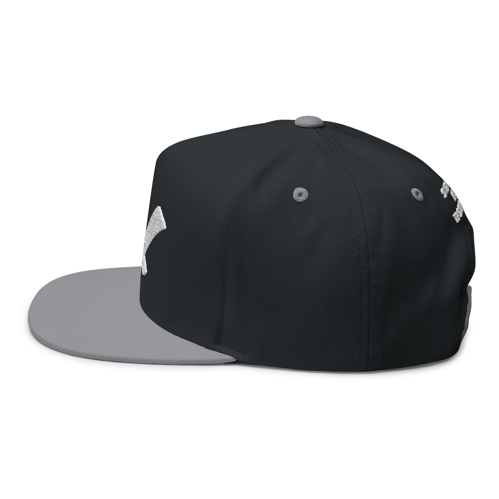 Multicolor Flat Bill Cap — Embroidered 'GL' Logo with Spanish Back Text ('Si tu no crees en ti...')