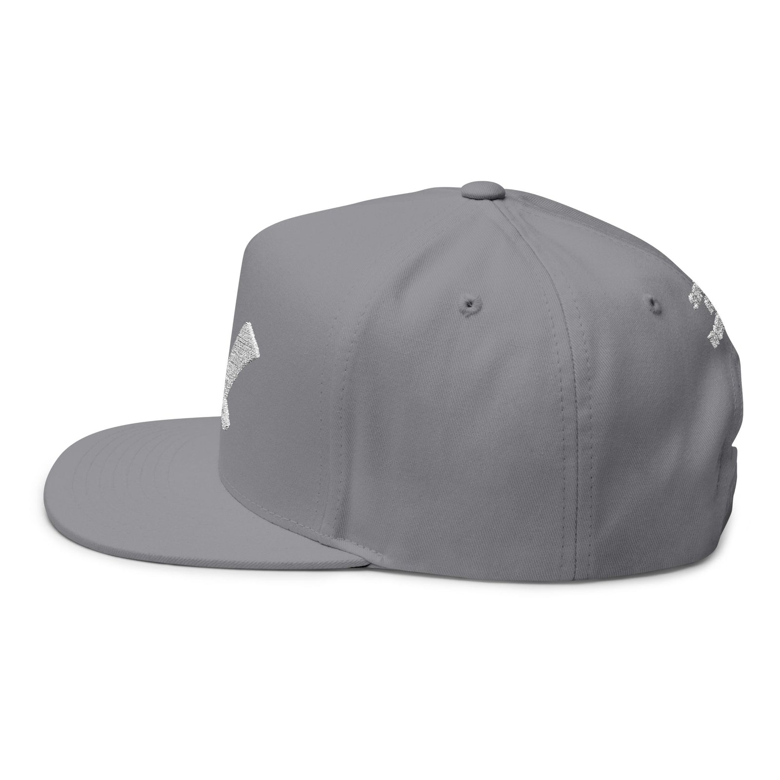 Multicolor Flat Bill Cap — Embroidered 'GL' Logo with Spanish Back Text ('Si tu no crees en ti...')